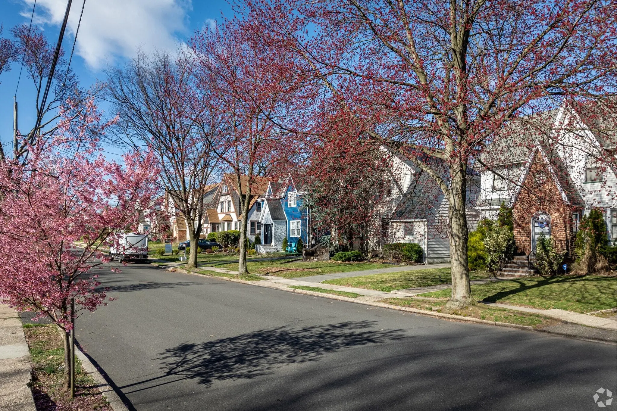 Quiet New Jersey residential neighborhood with spring blossoms and houses near furnished mid term rental locations.
